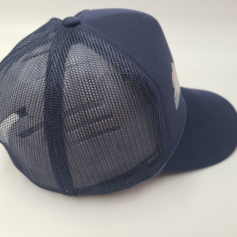 Lainey Wilson Hat Snapback Trucker Mesh Blue Bell Bottoms Up Cookin & Drinkin - Picture 6 of 11